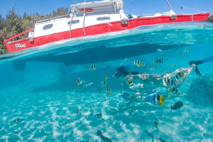PRIVATE Half Day Tour : Moorea Snorkeling & Sailing on a Catamaran named Taboo