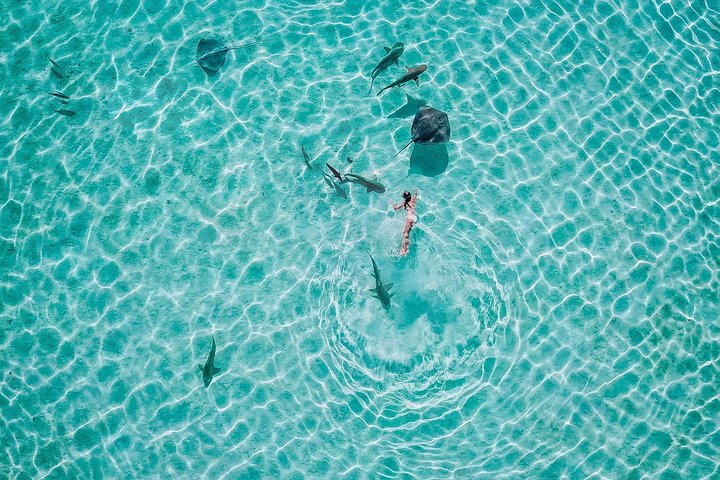 Half Day Tour : Moorea Snorkeling & Sailing on a Catamaran named Taboo