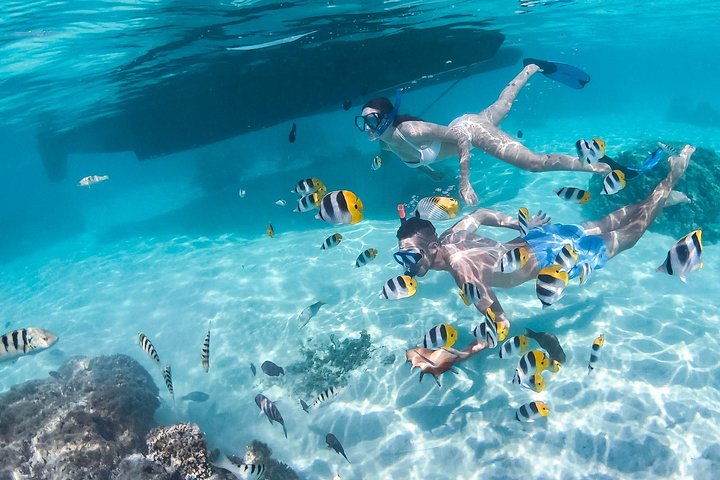 Half Day Tour : Moorea Snorkeling & Sailing on a Catamaran named Taboo