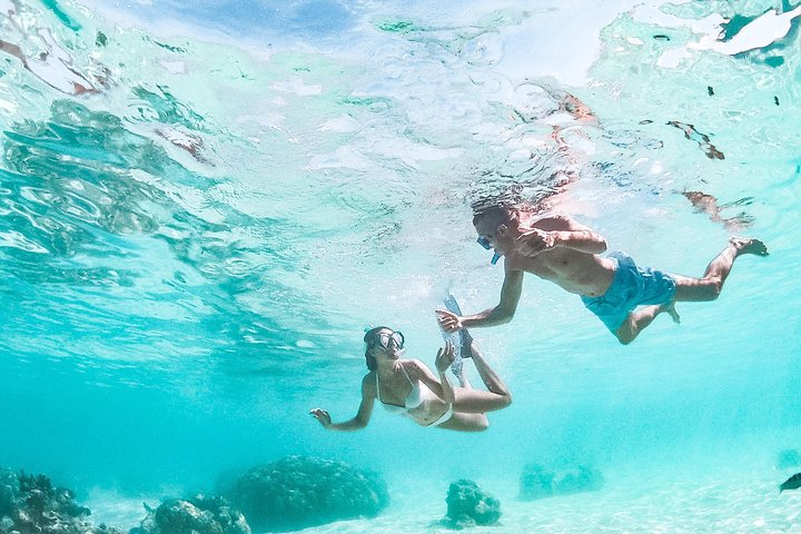 Half Day Tour : Moorea Snorkeling & Sailing on a Catamaran named Taboo