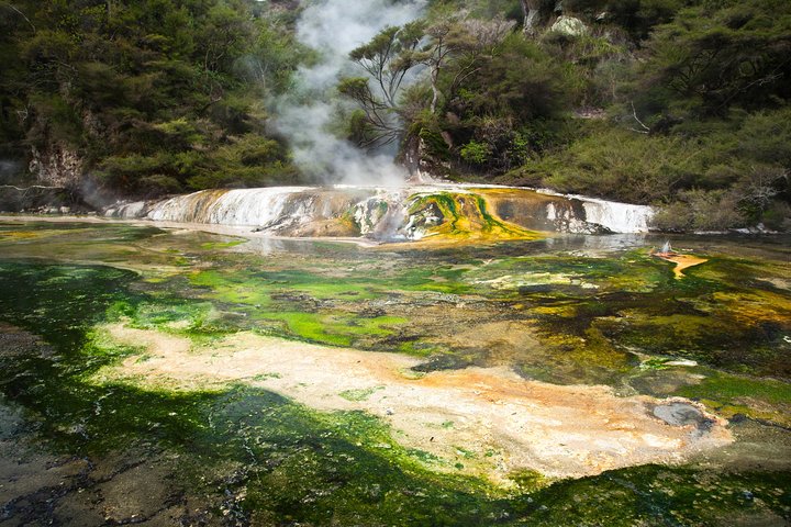 Rotorua based Small Group Morning Tour Waimangu and Wai O Tapu