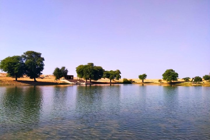 Nomadic Non-Touristic Overnight Tour & camel Safari