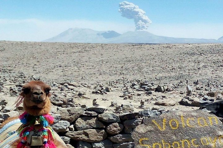Turist Bus Colca Canyon (Chivay) To Puno