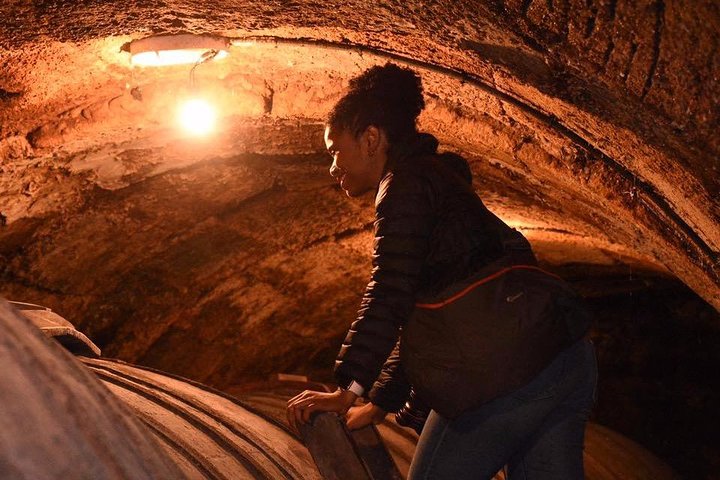 Authentic Rioja Wine Experience