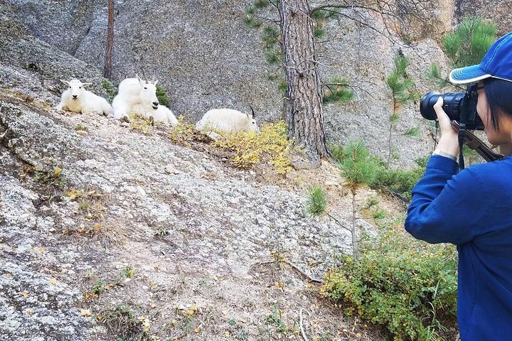 PREMIER PRIVATE Tour: Mt Rushmore, CrazyHorse & Custer State Park