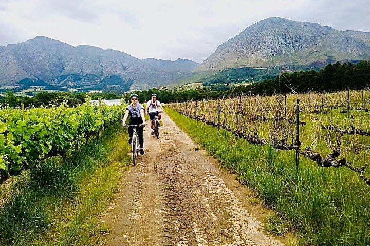 Franschhoek Sip & Cycle Experience Half Day - Private Tour