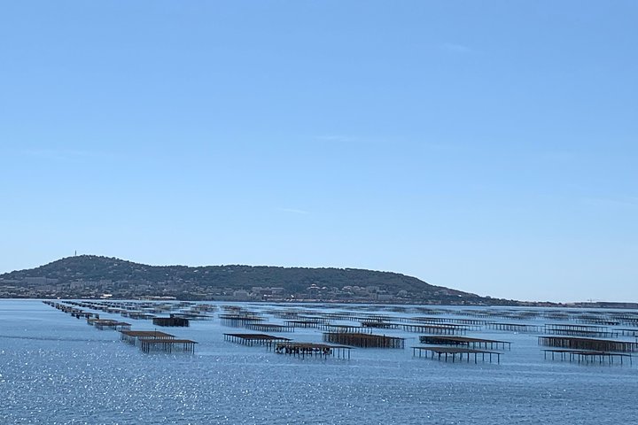 tour to Sete, an oyster farm & Wine Tasting