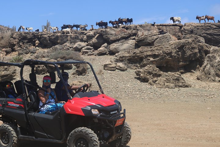 Aruba UTV & ATV Adventure