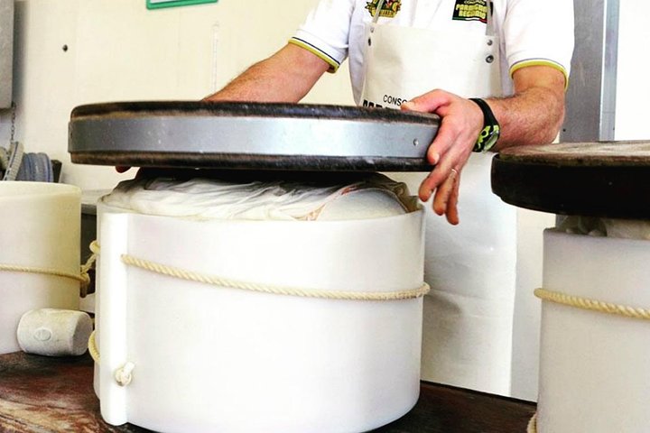 Parmigiano & Balsamic Artisans: In-Depth Private Tour and Tasting