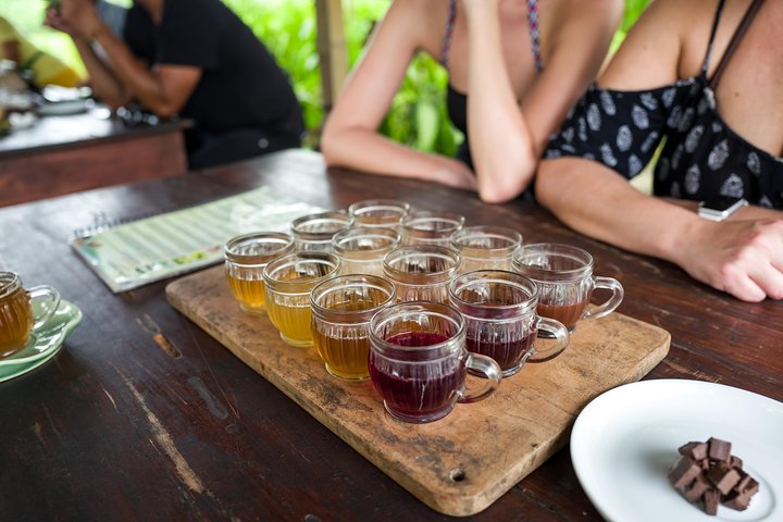 Best of Ubud Full-Day Tour with Jungle Swing