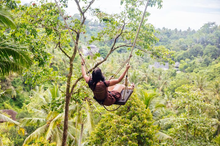 Best of Ubud Full-Day Tour with Jungle Swing