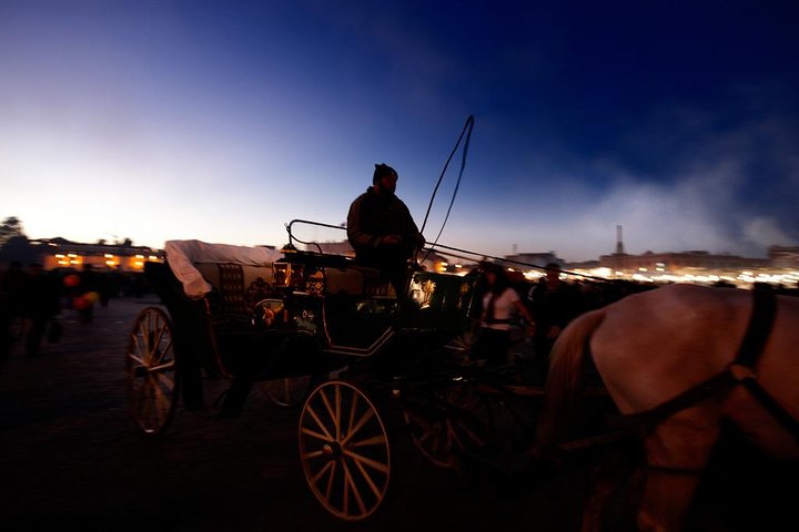 Marrakech Guided Day Trip from Agadir: Medina & Souks Tour