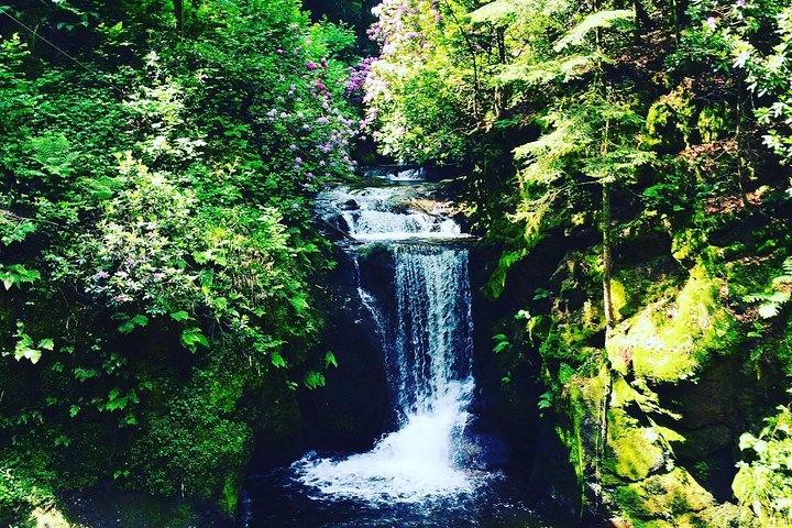 Black Forest Day Tour