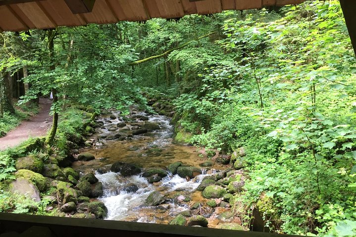 Black Forest Day Tour