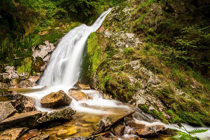Black Forest Day Tour