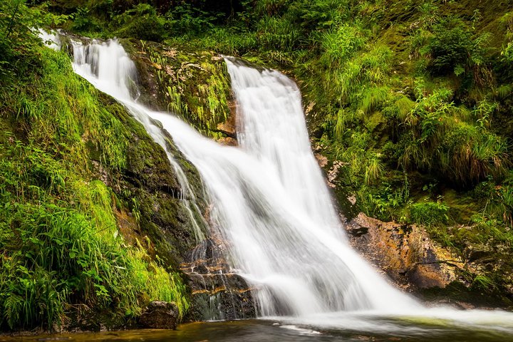 Black Forest Day Tour