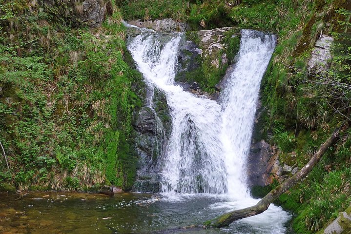 Black Forest Day Tour