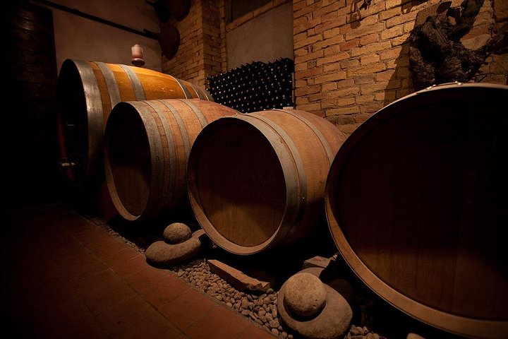 "Between Langhe and Monferrato" - Wine Tasting and Cellar Visit