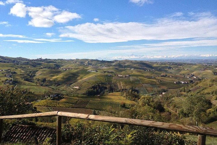 "Between Langhe and Monferrato" - Wine Tasting and Cellar Visit