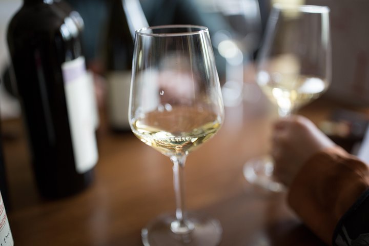 "Between Langhe and Monferrato" - Wine Tasting and Cellar Visit