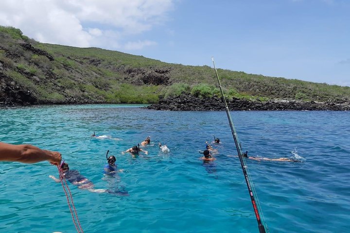 Tour to Pinzón + Las palmas