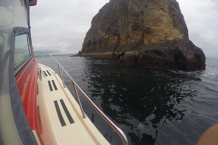 Tour to Pinzón + Las palmas
