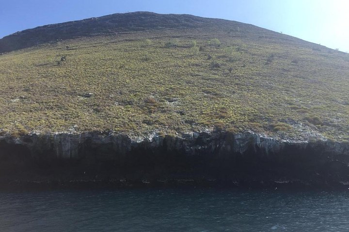 Tour to Bartolome Island + Bahia Sulivan