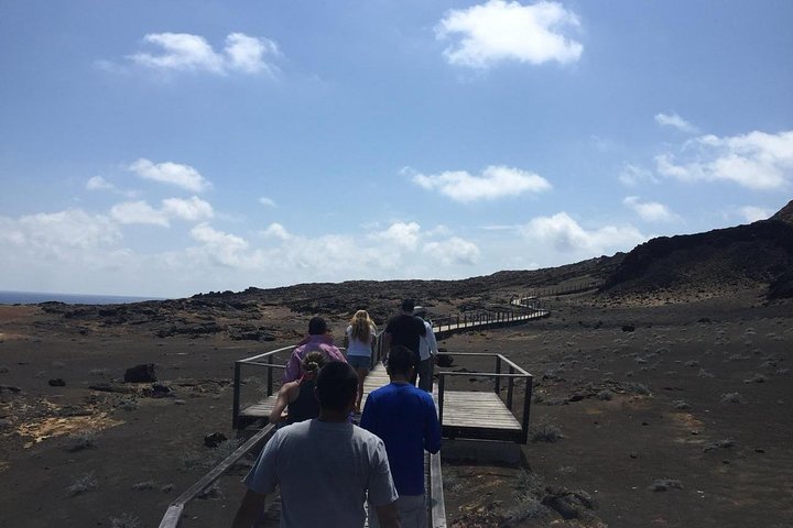 Tour to Bartolome Island + Bahia Sulivan