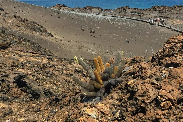 Tour to Bartolome Island + Bahia Sulivan