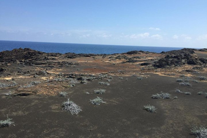 Tour to Bartolome Island + Bahia Sulivan