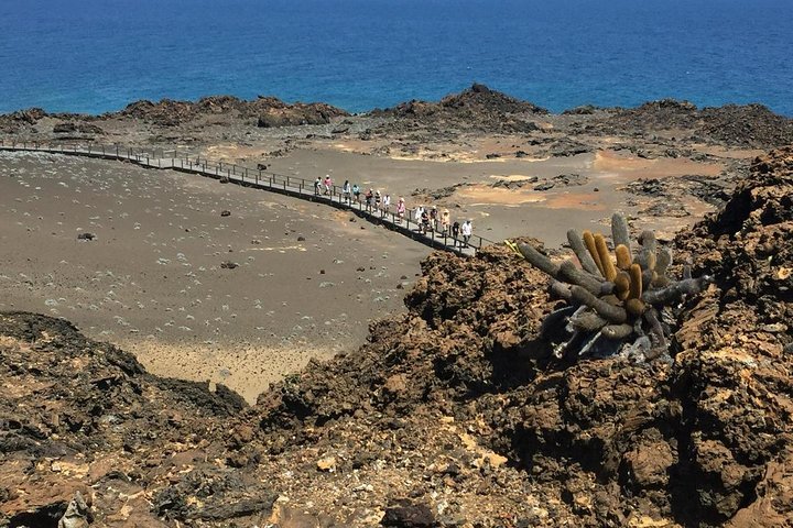 Tour to Bartolome Island + Bahia Sulivan