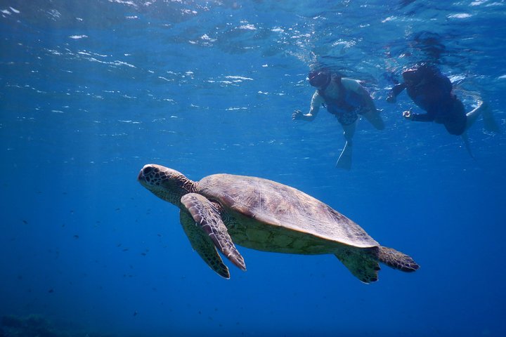 1day kayak tour in Kerama Islands and Zamami Island