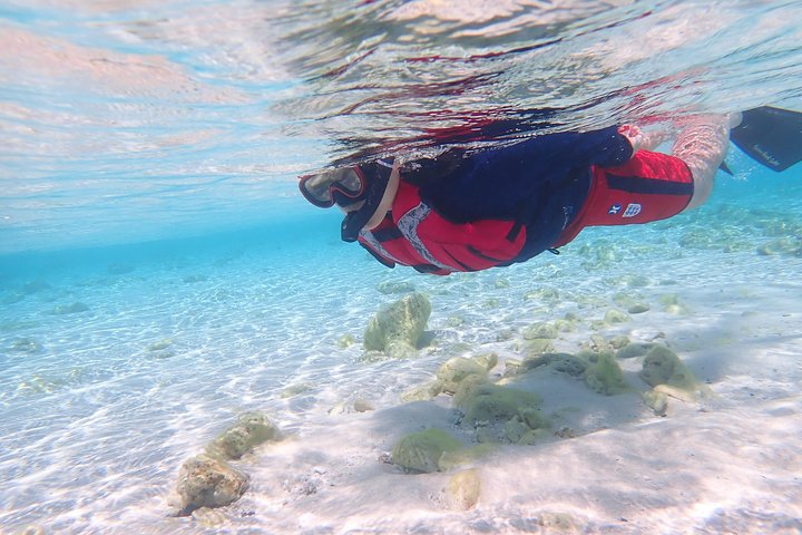 1day kayak tour in Kerama Islands and Zamami Island