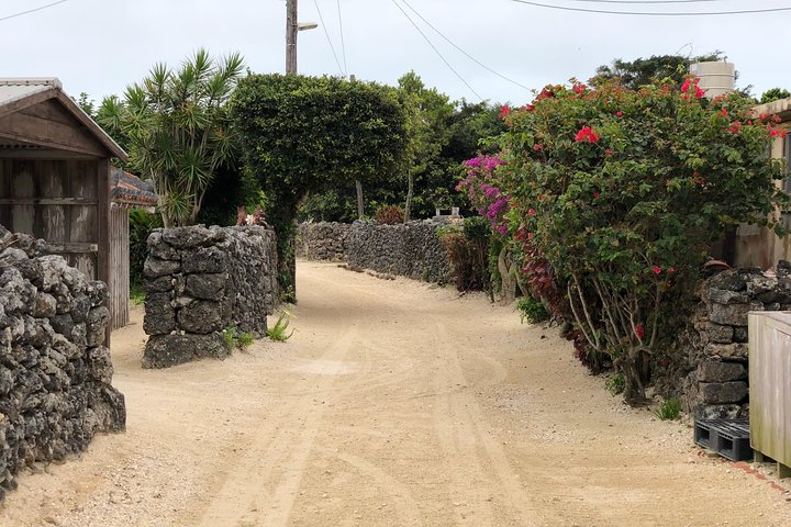 Taketomi Island Walk Tour with an Island Guide