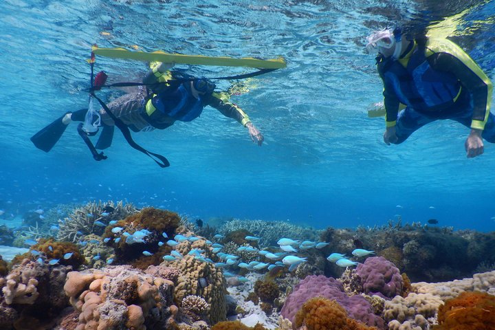 Half-day kayak tour on the Kerama Islands and Zamami Island