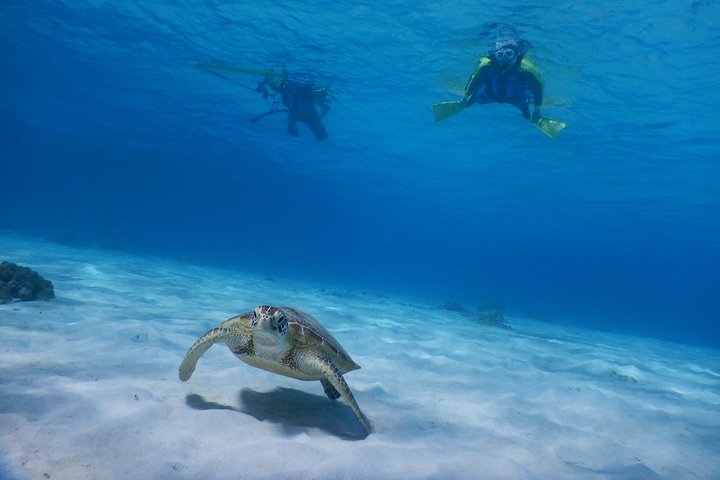 Half-day kayak tour on the Kerama Islands and Zamami Island