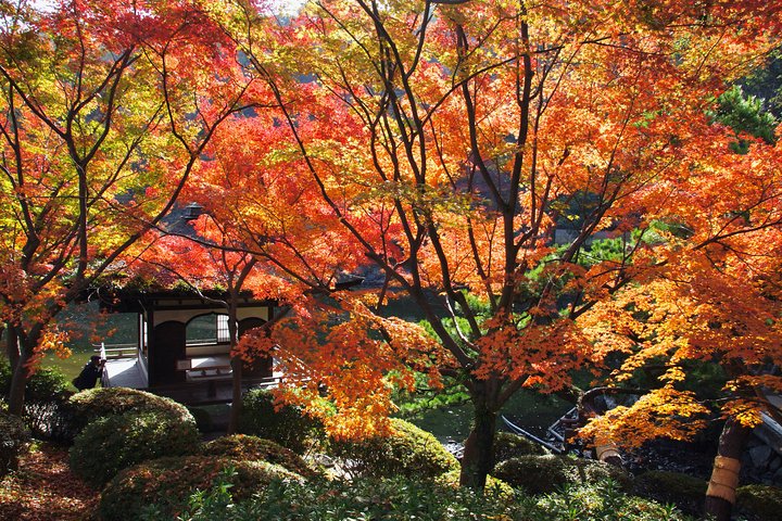 The Best of Wakayama City Private Tour