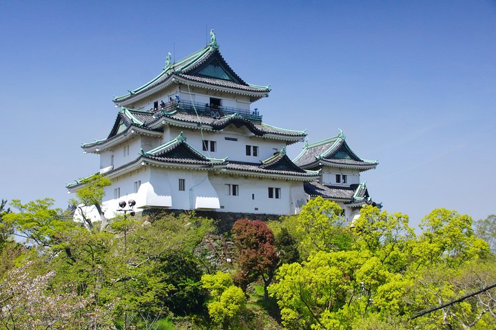 Wakayama Castle Town Walking Tour