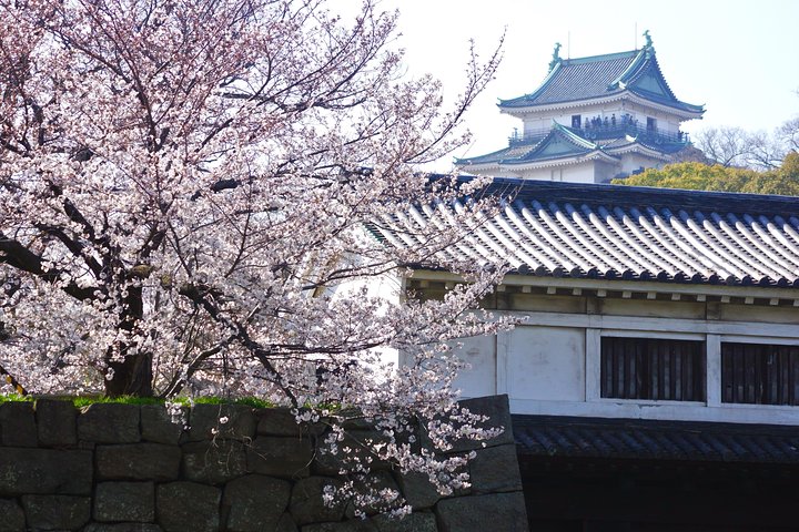 The Best of Wakayama City Private Tour