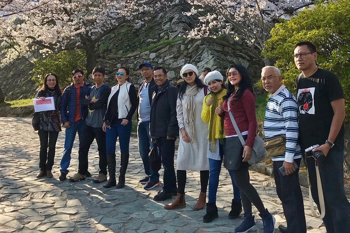 The Best of Wakayama City Private Tour
