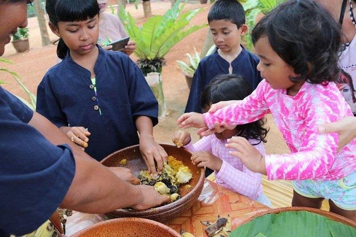 Koh Samui: Elephant Nature Care, the largest elephant sanctuary
