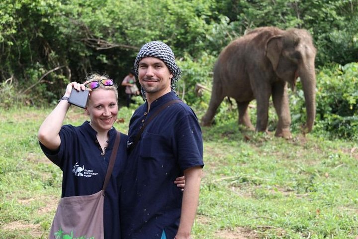 Koh Samui: Elephant Nature Care, the largest elephant sanctuary