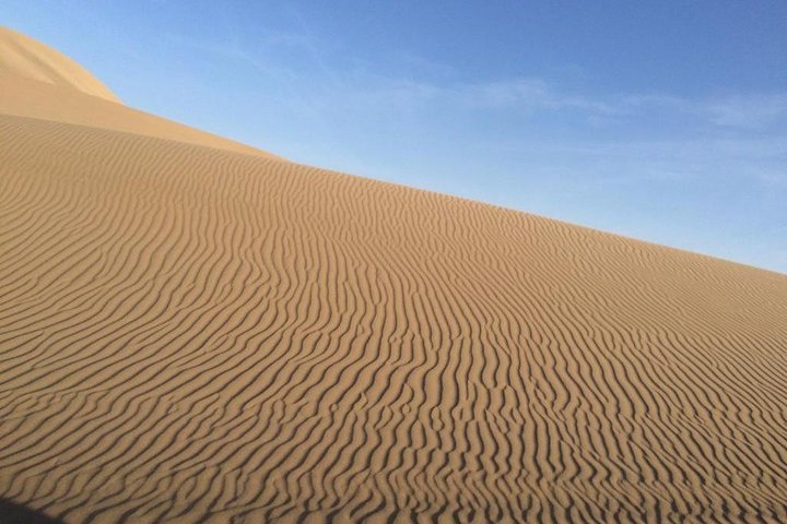Private Dune Buggy Tour with Sandboard or Ski / 2 hours