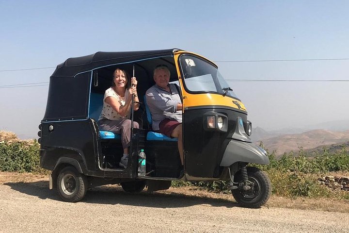 Private Udaipur Sightseeing Tour by Tuk-Tuk or Car with Driver