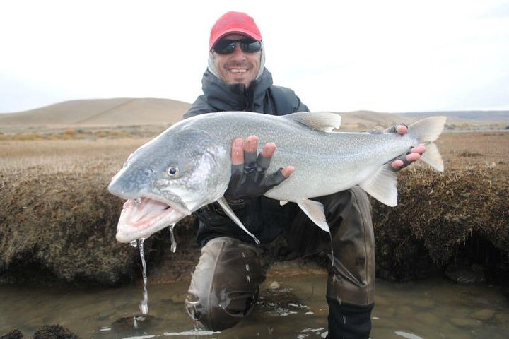 Patagonia Fly Fishing Experience in El Calafate (Small Groups)