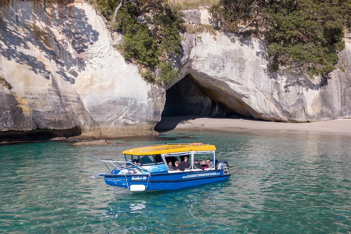 Glass Bottom Boat Whitianga Cathedral Cove Cruise