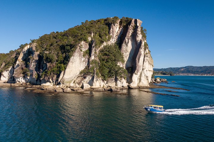 Glass Bottom Boat Whitianga Cathedral Cove Cruise