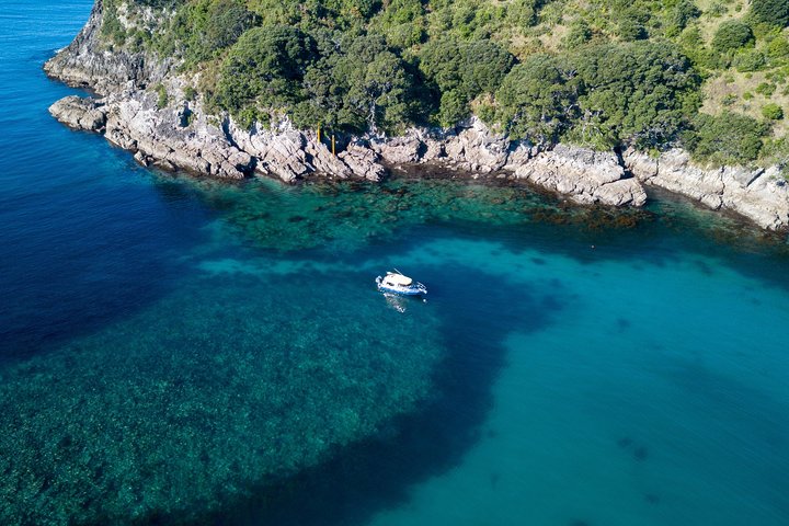 Glass Bottom Boat Whitianga Cathedral Cove Cruise