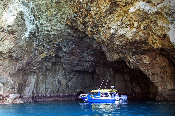Glass Bottom Boat Whitianga Cathedral Cove Cruise