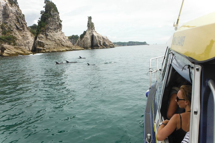 Glass Bottom Boat Whitianga Cathedral Cove Cruise